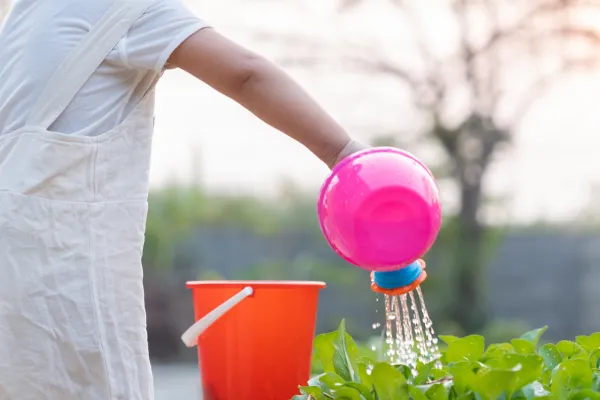 Hortas Verticais e Educação: Como Ensinar Crianças a Valorizar a Natureza