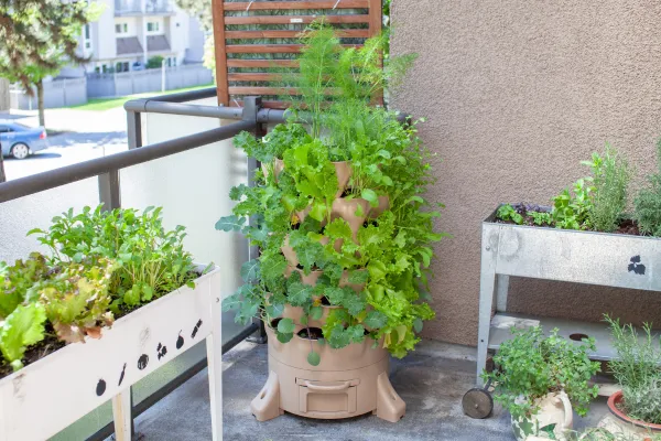 Horta Vertical em Apartamento: Como Planejar sem Comprometer o Espaço