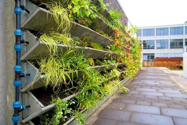 Plantas que se Dão Bem Juntas: Como Criar um Cultivo Inteligente em Hortas Verticais