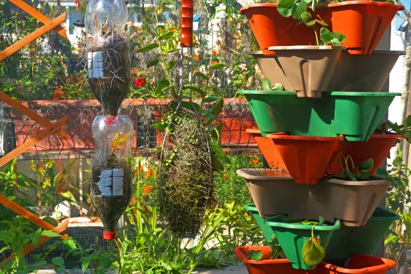 Iluminação e Ventilação: Como Garantir o Crescimento Saudável das Plantas na Horta Vertical