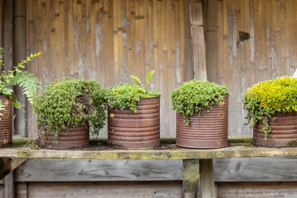 Horta Vertical Sustentável: Como Planejar com Materiais Recicláveis